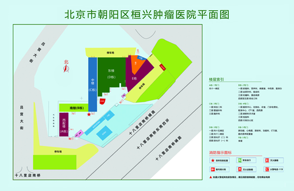 大鸡巴日骚逼的视频播放北京市朝阳区桓兴肿瘤医院平面图